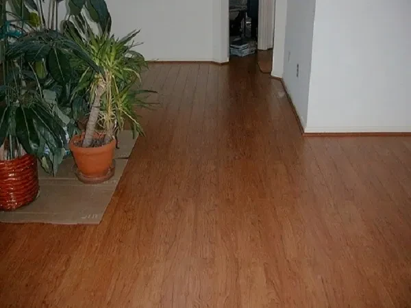 Potted plant on wooden floor hallway