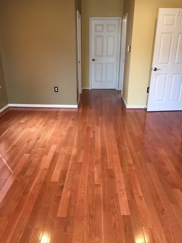 Empty hallway hardwood floors white doors