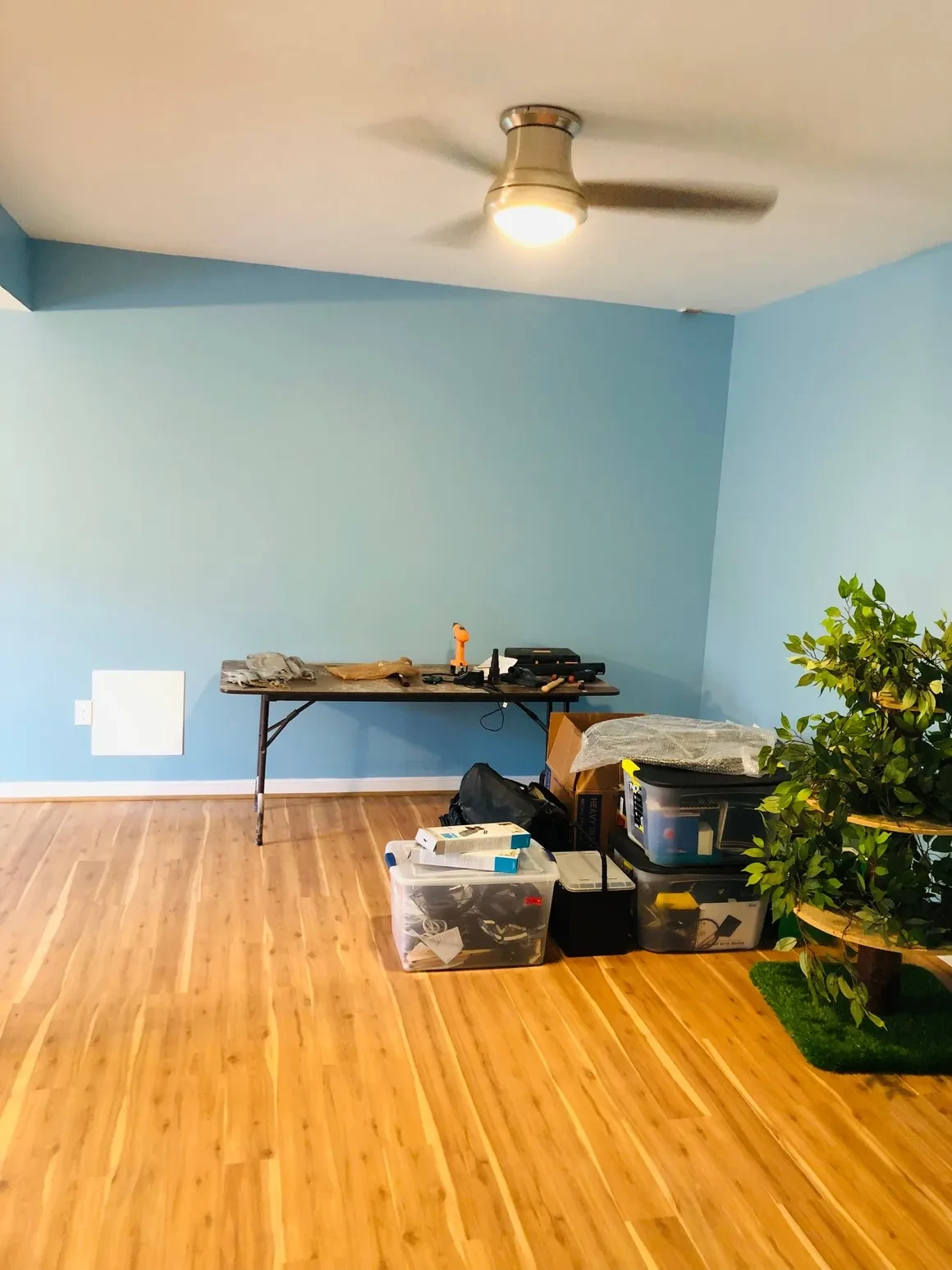 Basement renovation in progress