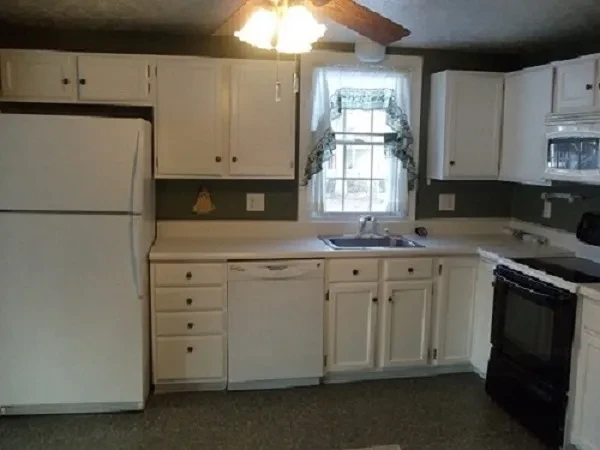 Kitchen remodel CarpenTech