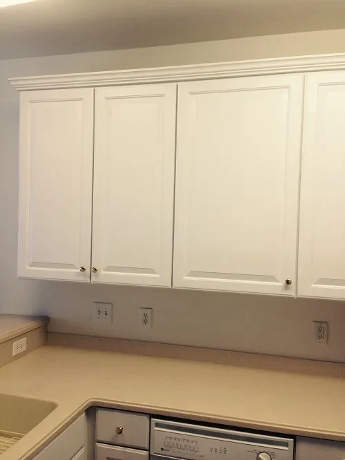Kitchen renovation completed project